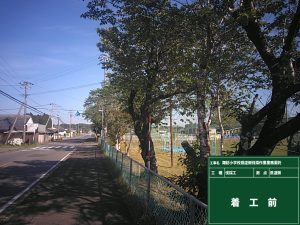 県道側伐採作業
