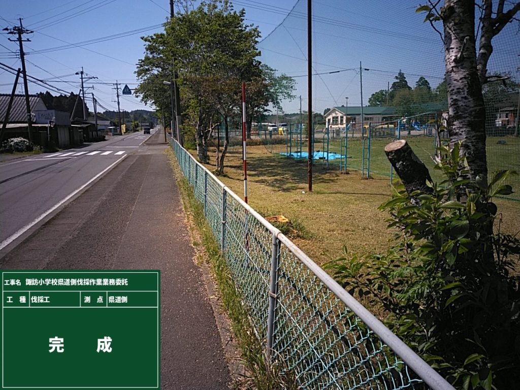 県道側伐採作業